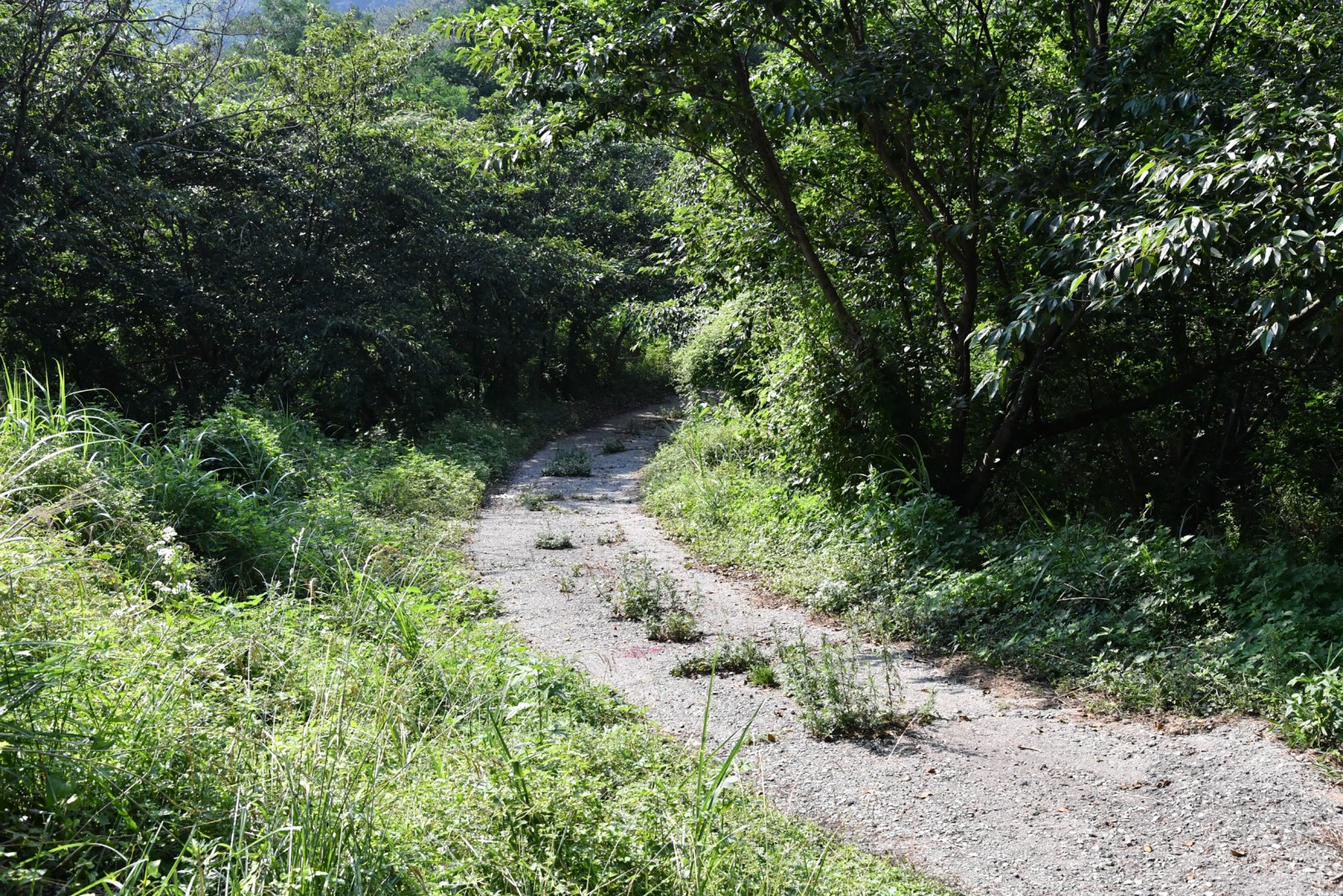 송정옛길 착수보고회 18