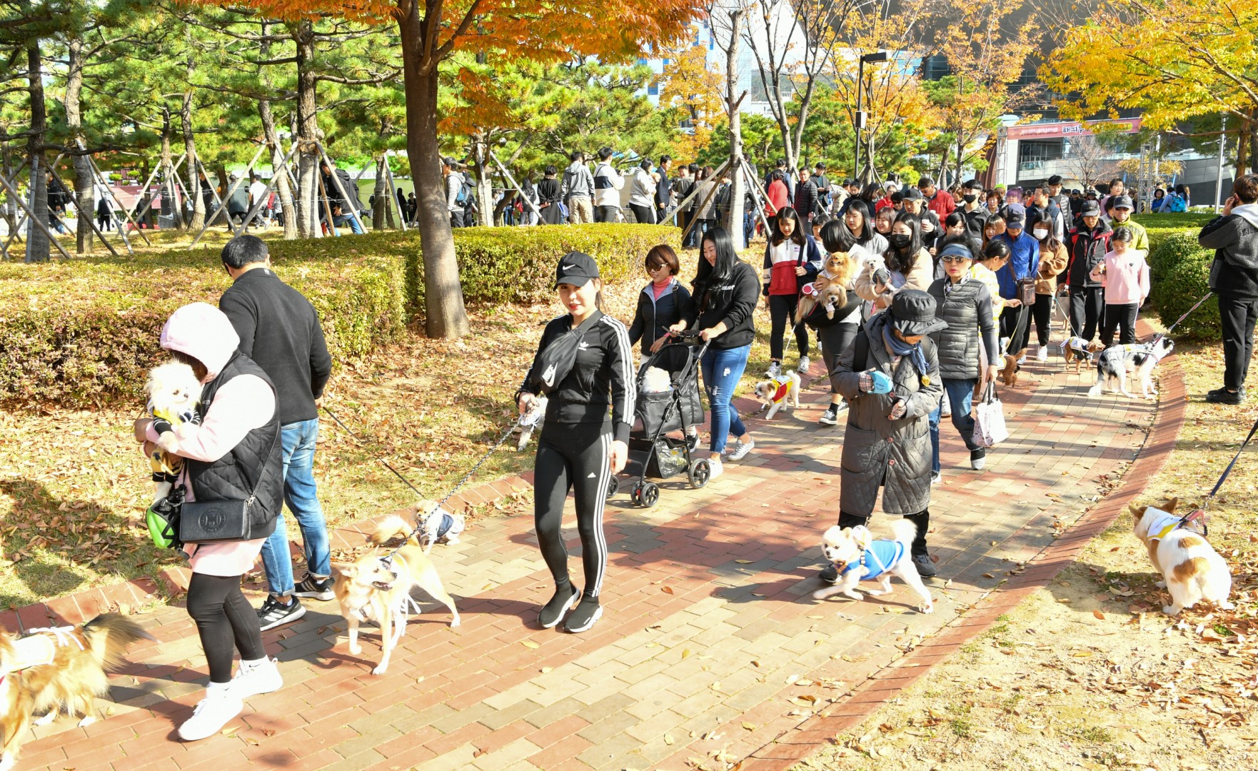 해운대구 반려동물축제 18