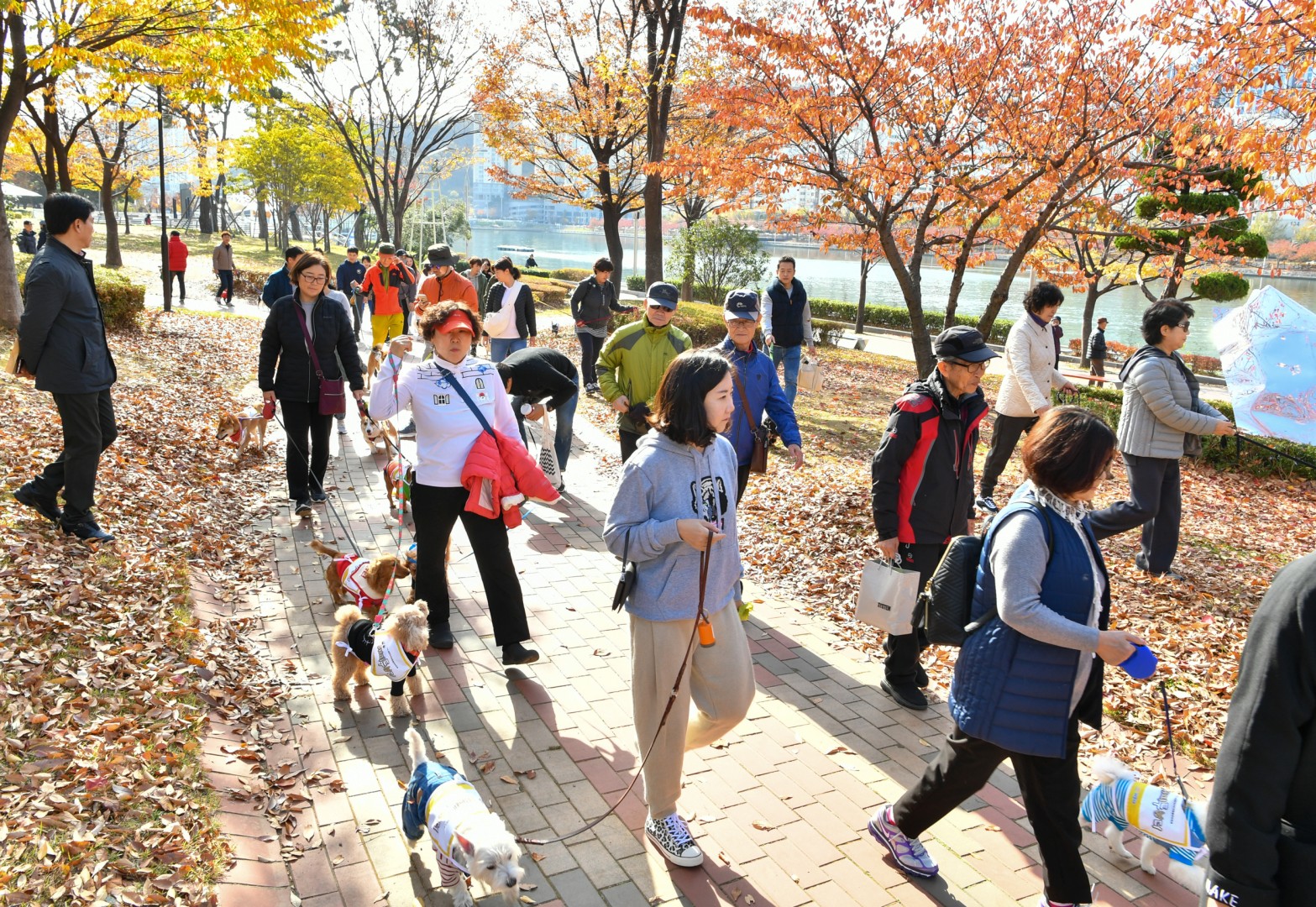 해운대구 반려동물축제 19