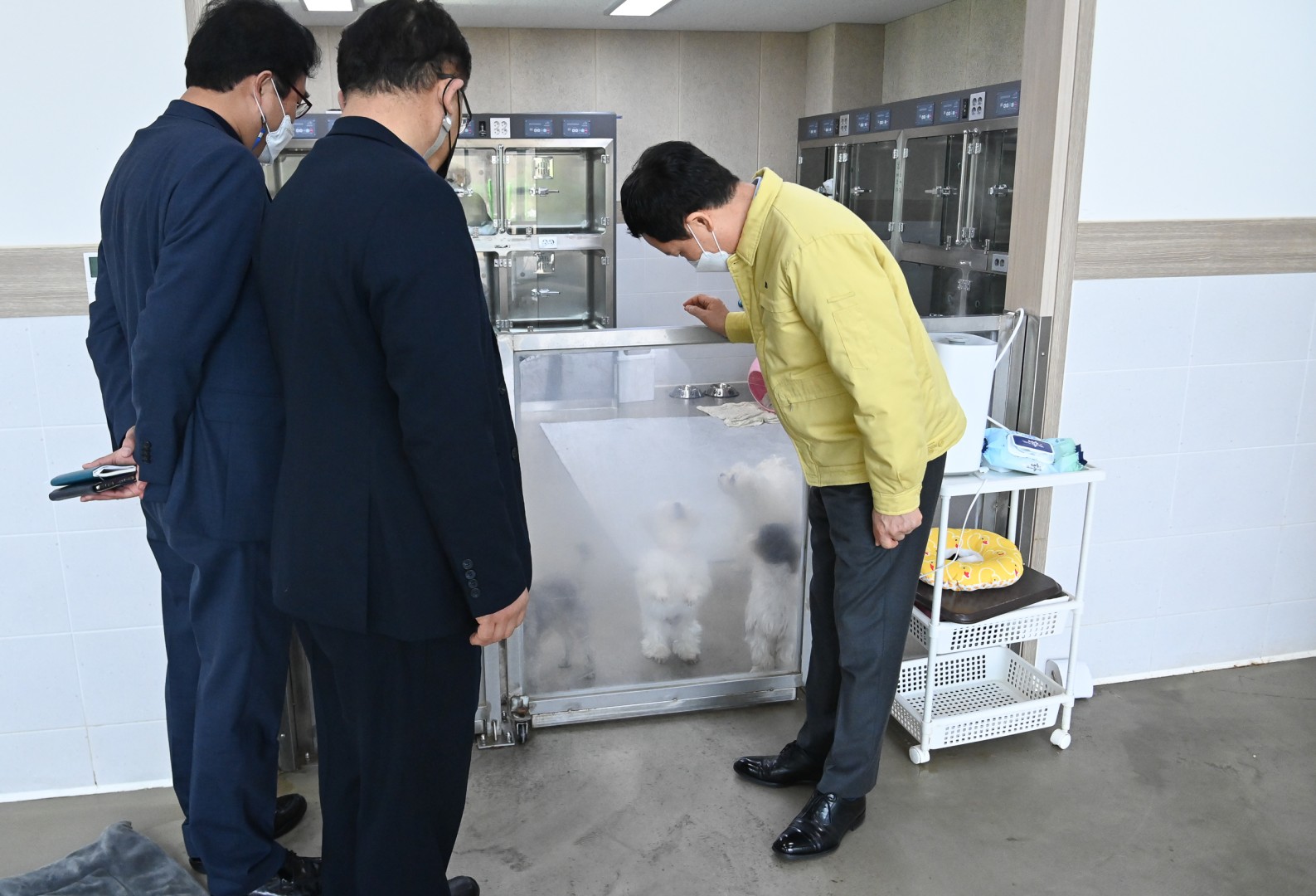 유기동물입양센터 방문 6