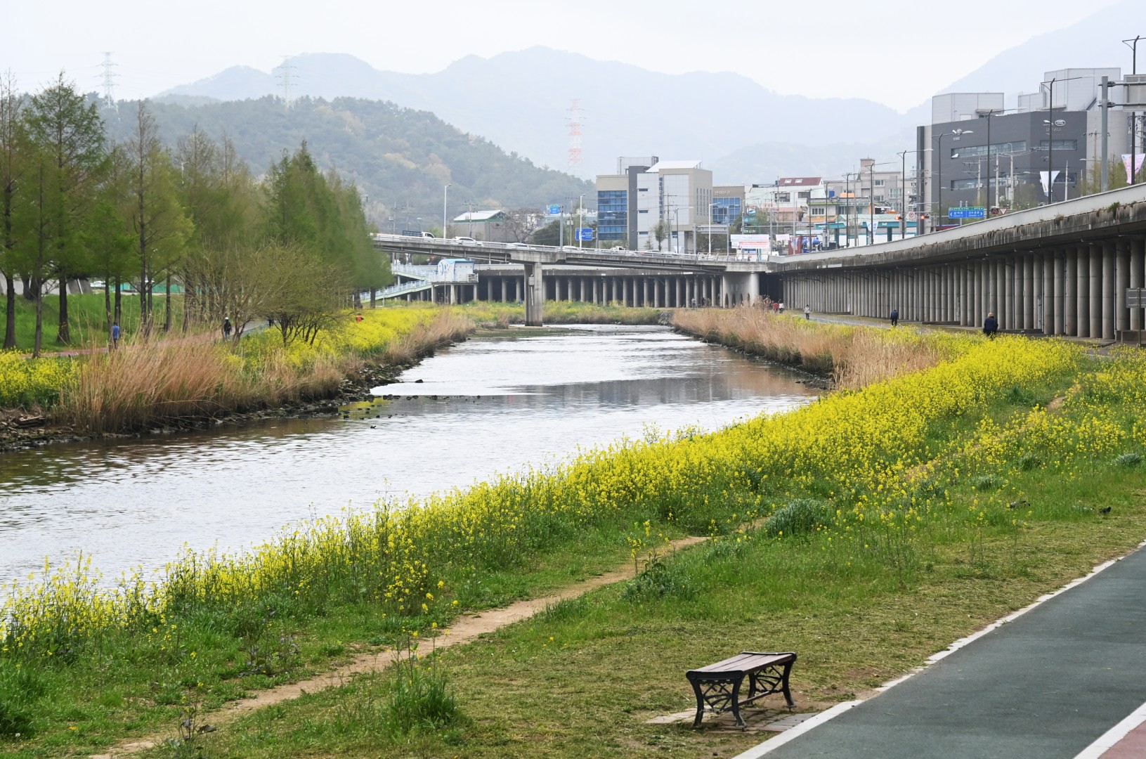현장 속으로 구민 곁으로(재송역 일원, 명장근린공원, 수영강 시민공원) 35