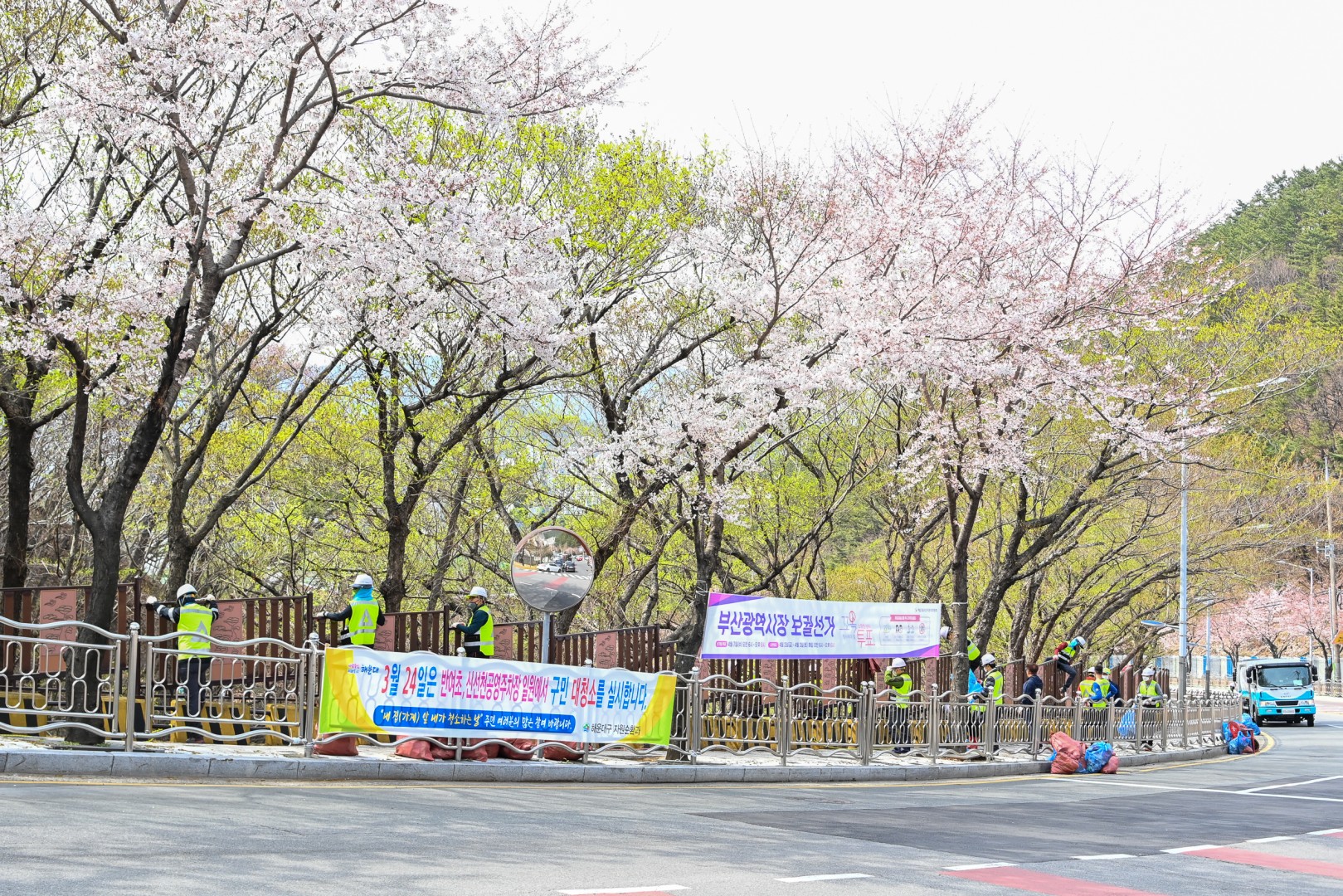 해운대구민 대청소의날 13