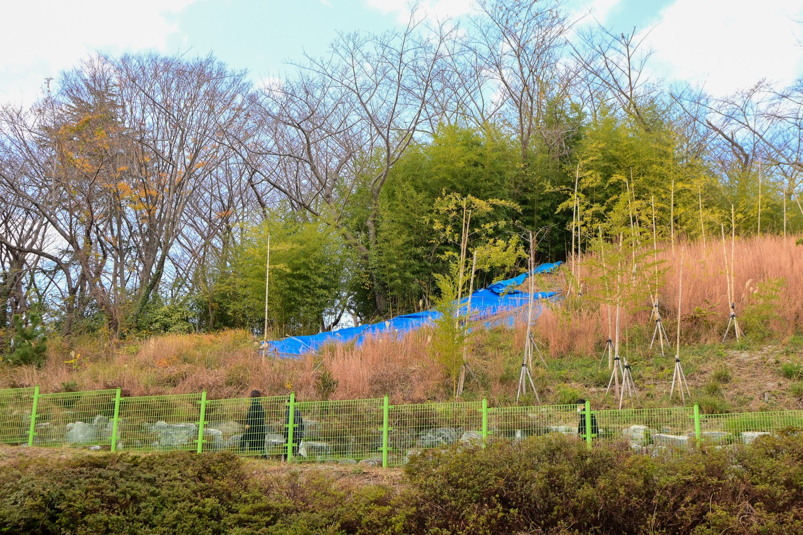 학교 민원현장방문 20