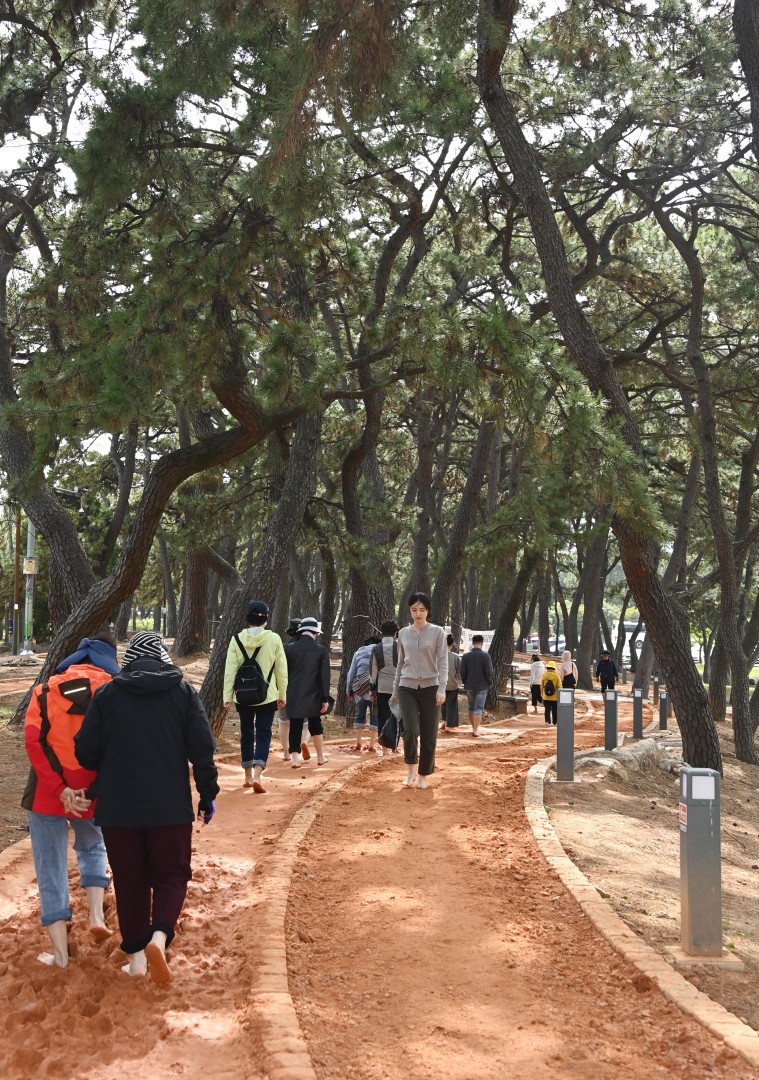 바다황톳길 14