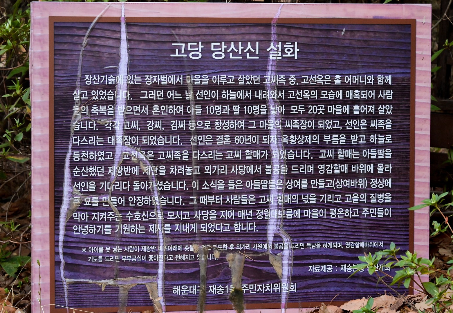 재송체육공원 현장방문 22