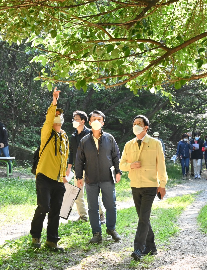 여가녹지설계용역 최종보고회 8
