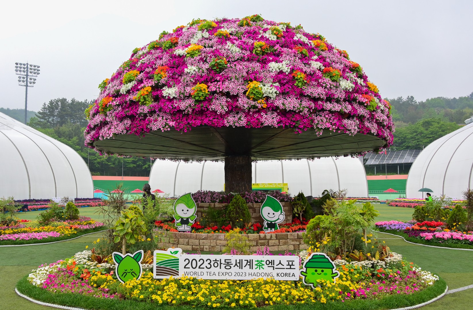하동군 세계 차엑스포 개막식 2