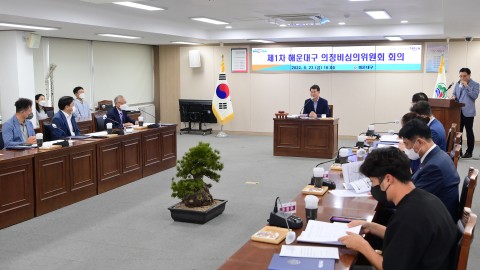 의정비 심의위원회