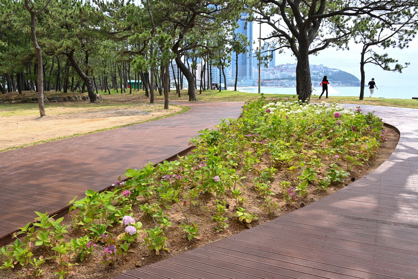 동백숲조성 준공식 8