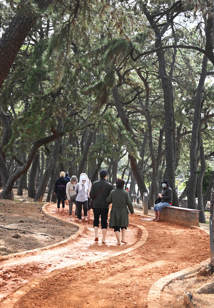 바다황톳길 16