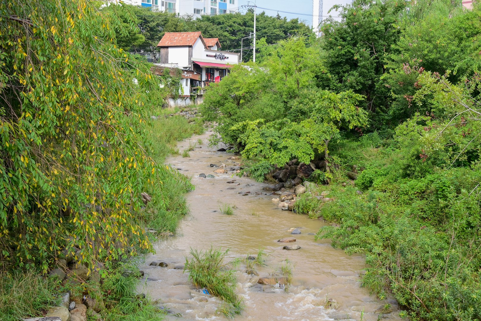 춘천 재해복구 현장 15