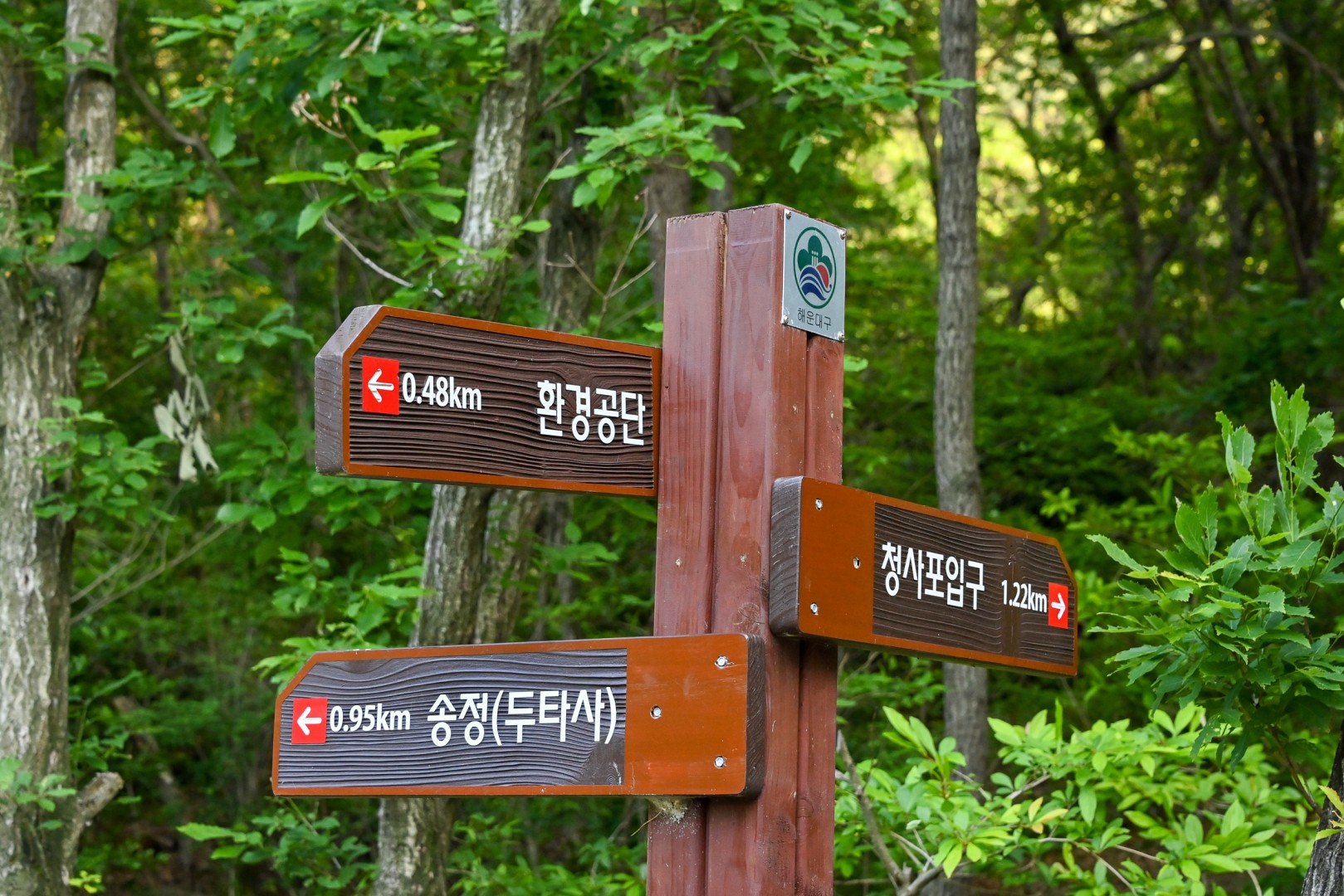 여가녹지설계용역 최종보고회 37