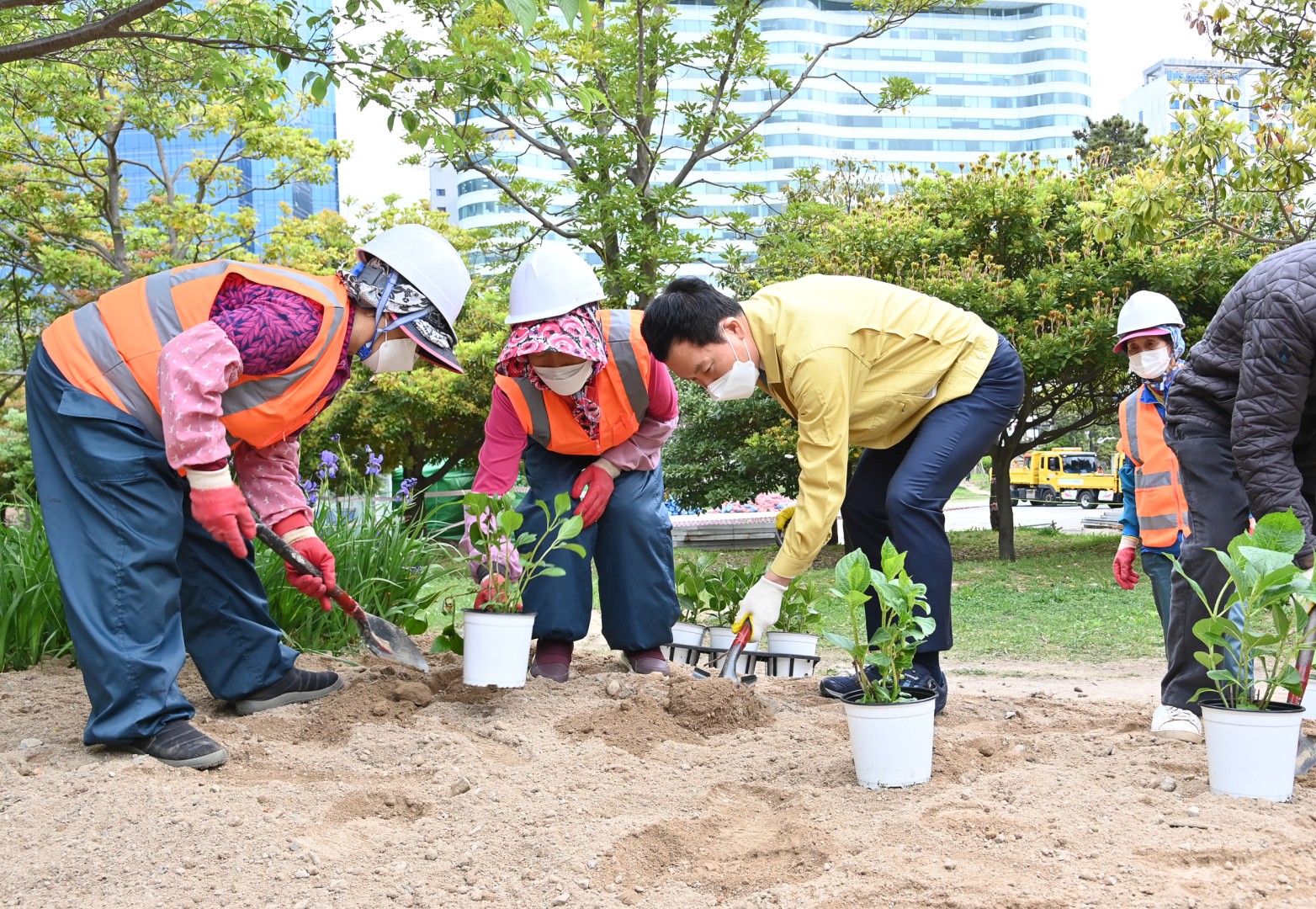 수국 군락지 조성공사 14