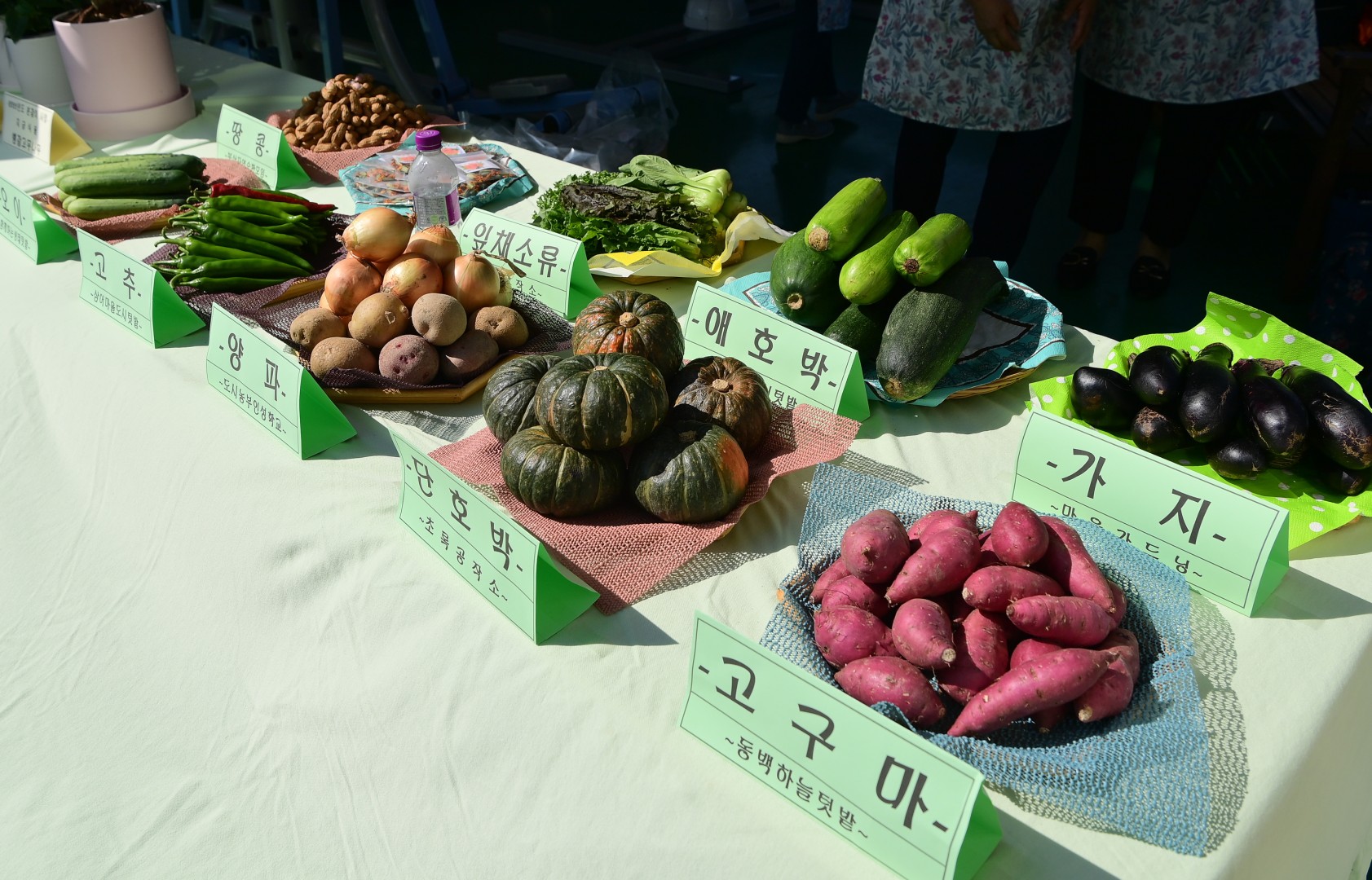 도시농업공동체 밥상나눔행사 6