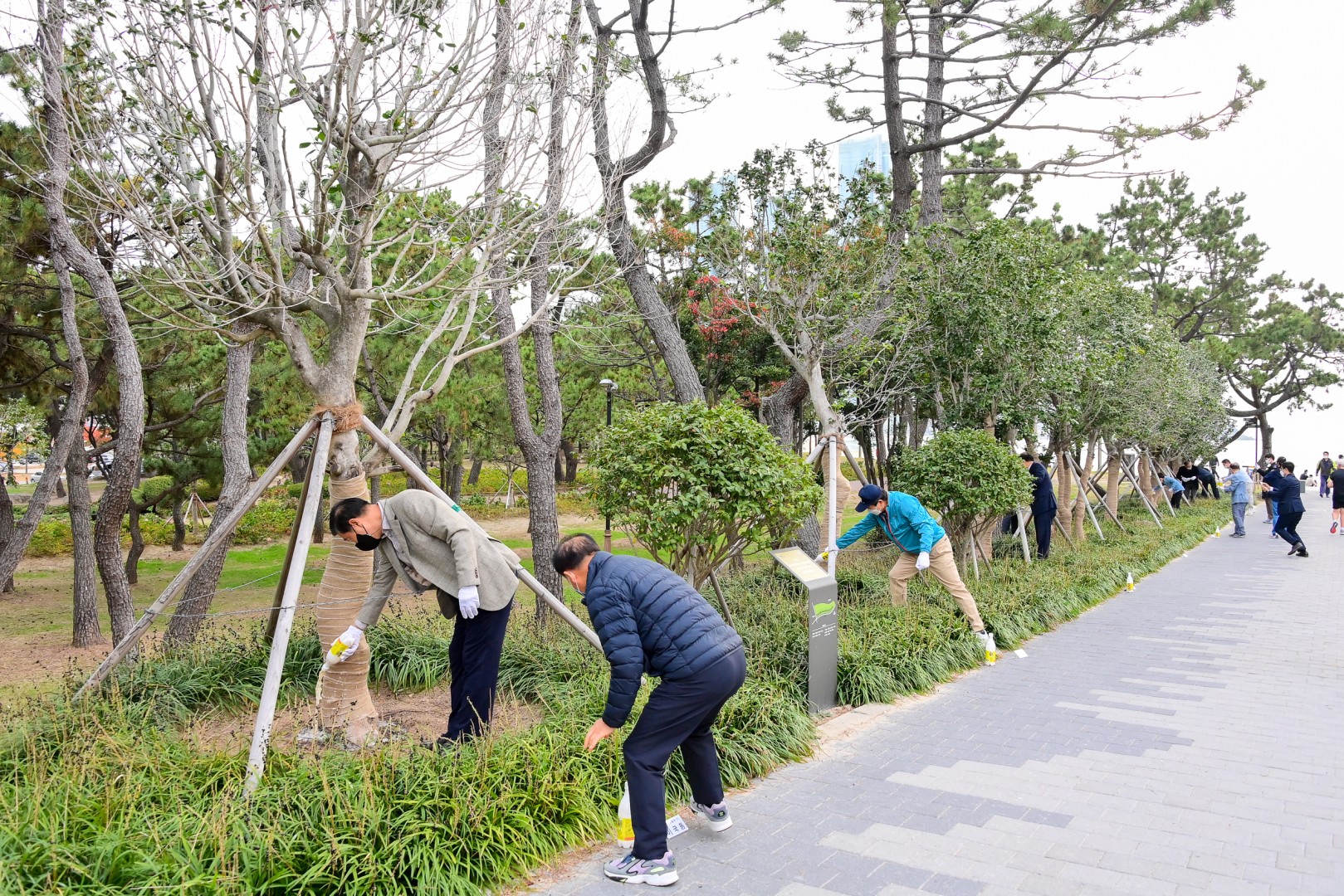 동백 기부수목 육림의 날 행사 14
