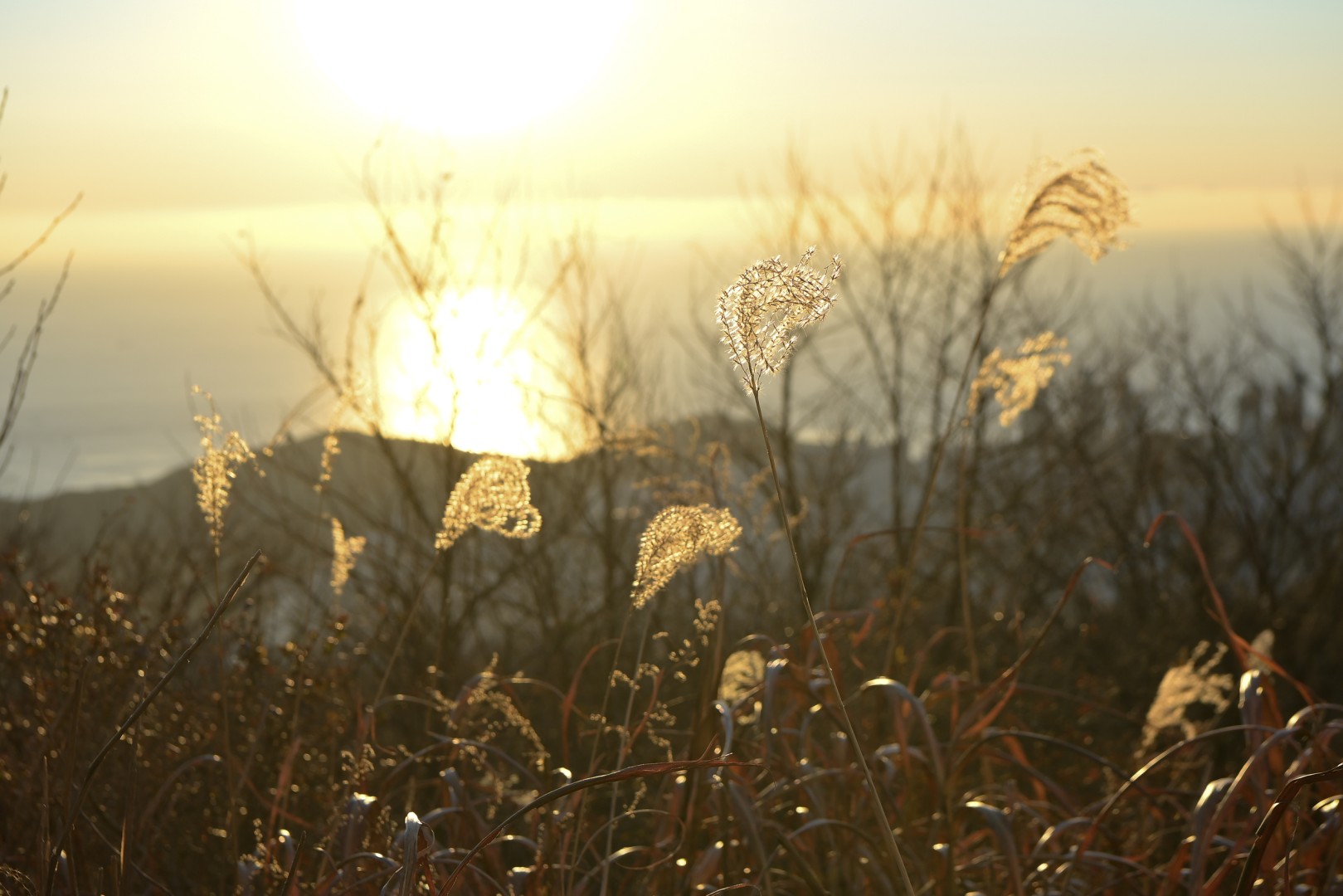 장산정상 개방행사 19