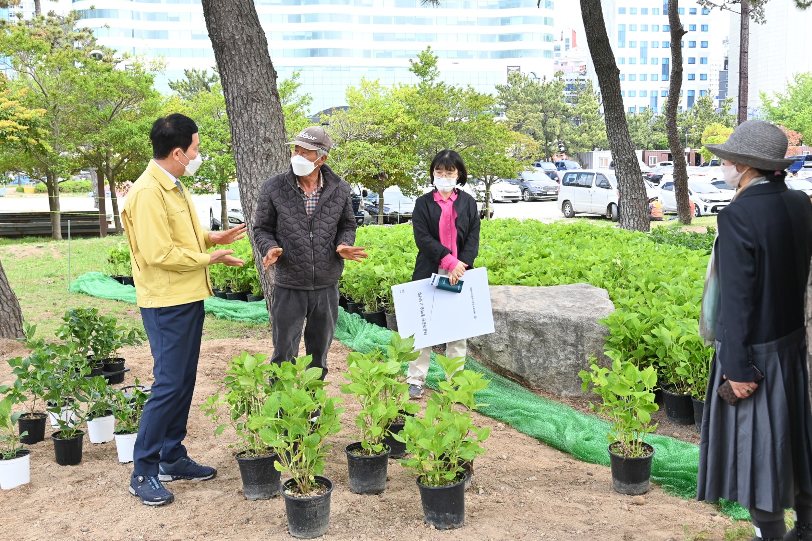 수국 군락지 조성공사 4