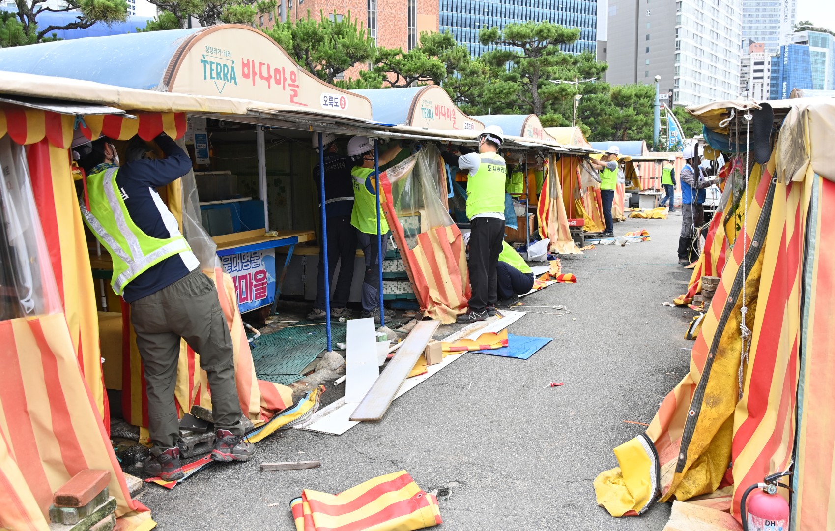 바다마을 자진철거 36