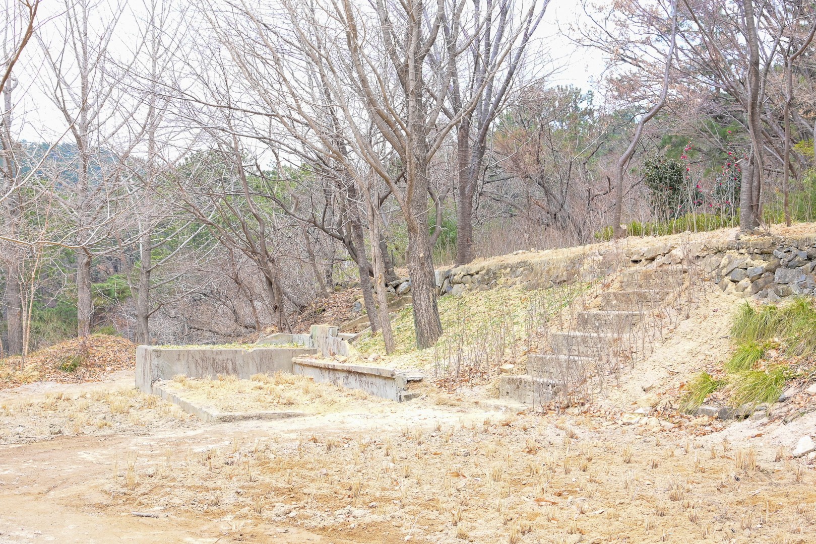 와우산 여가녹지사업 15
