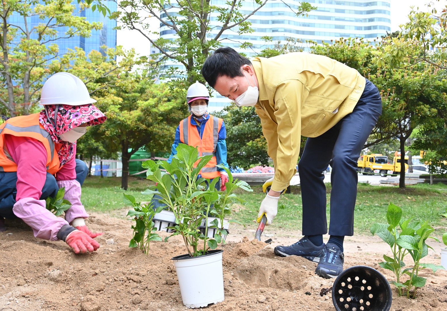 수국 군락지 조성공사 1