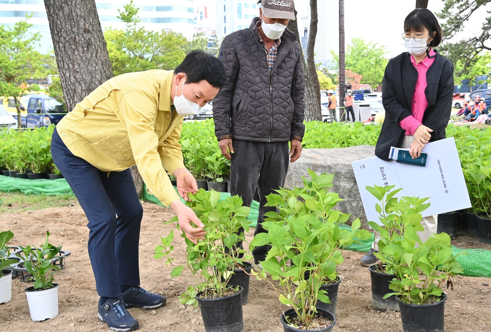 수국 군락지 조성공사 6