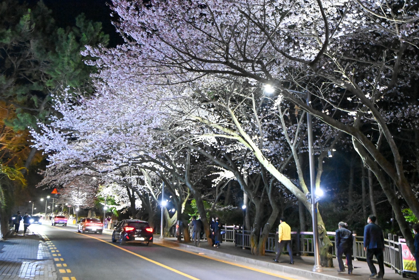 경관조명 시연 현장방문 13