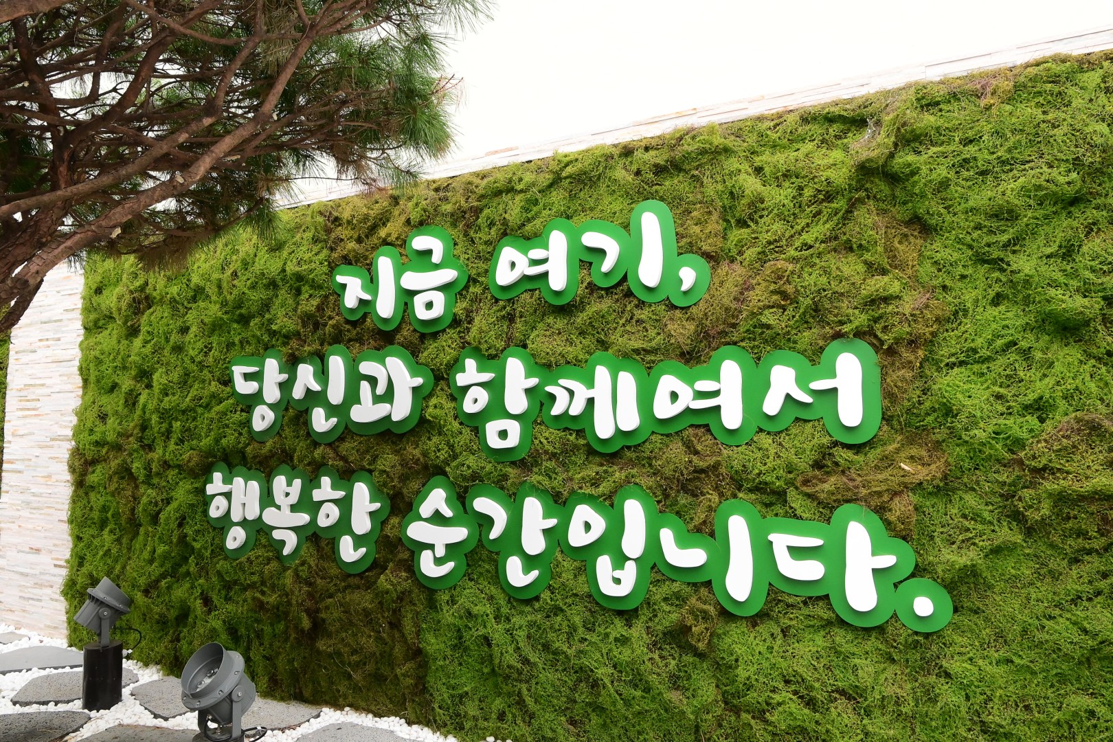 도시재생뉴딜사업장 현장방문 21