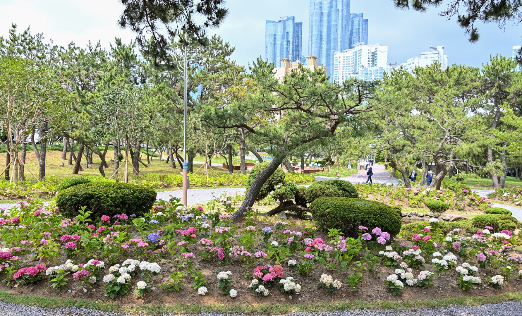 동백숲조성 준공식 6