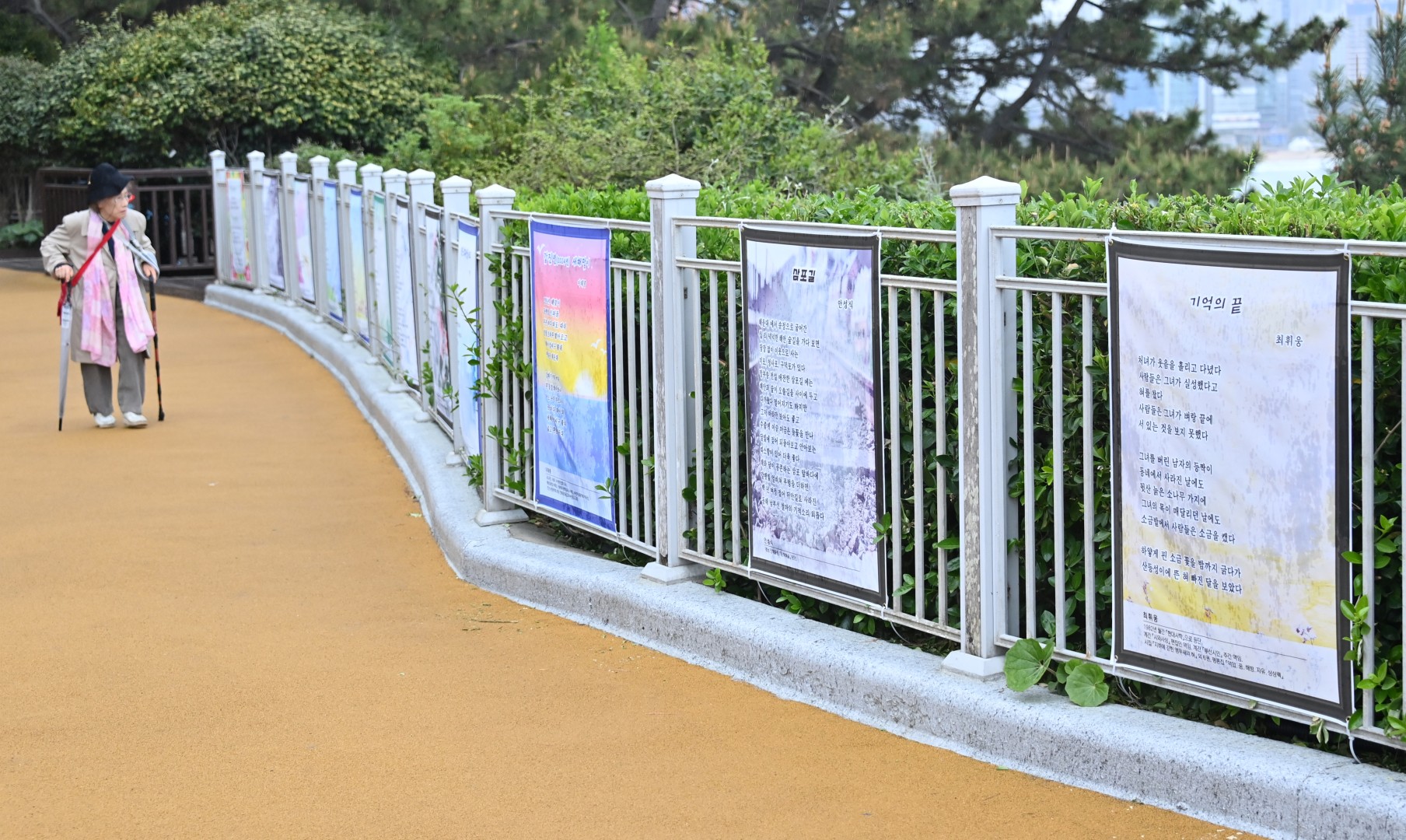 동백시화전 8