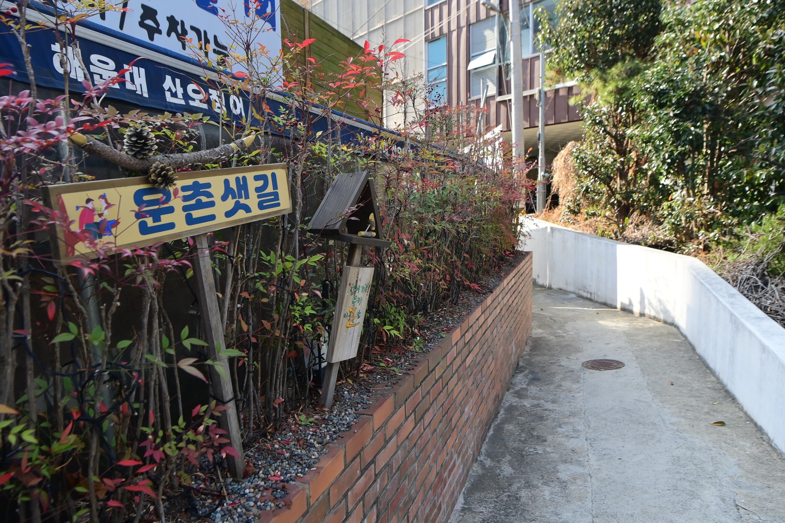현장-우동 한솔솔파크 7