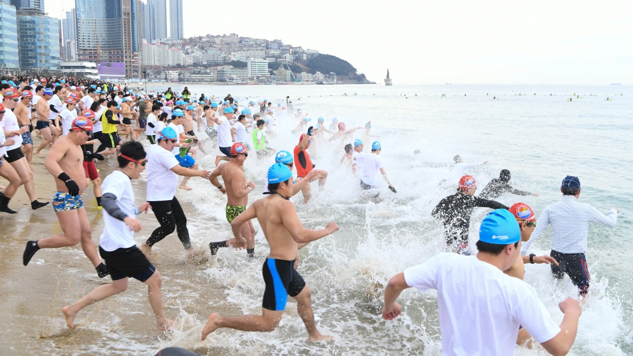 180107-제31회 북극곰수영대회