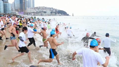 180107-제31회 북극곰수영대회