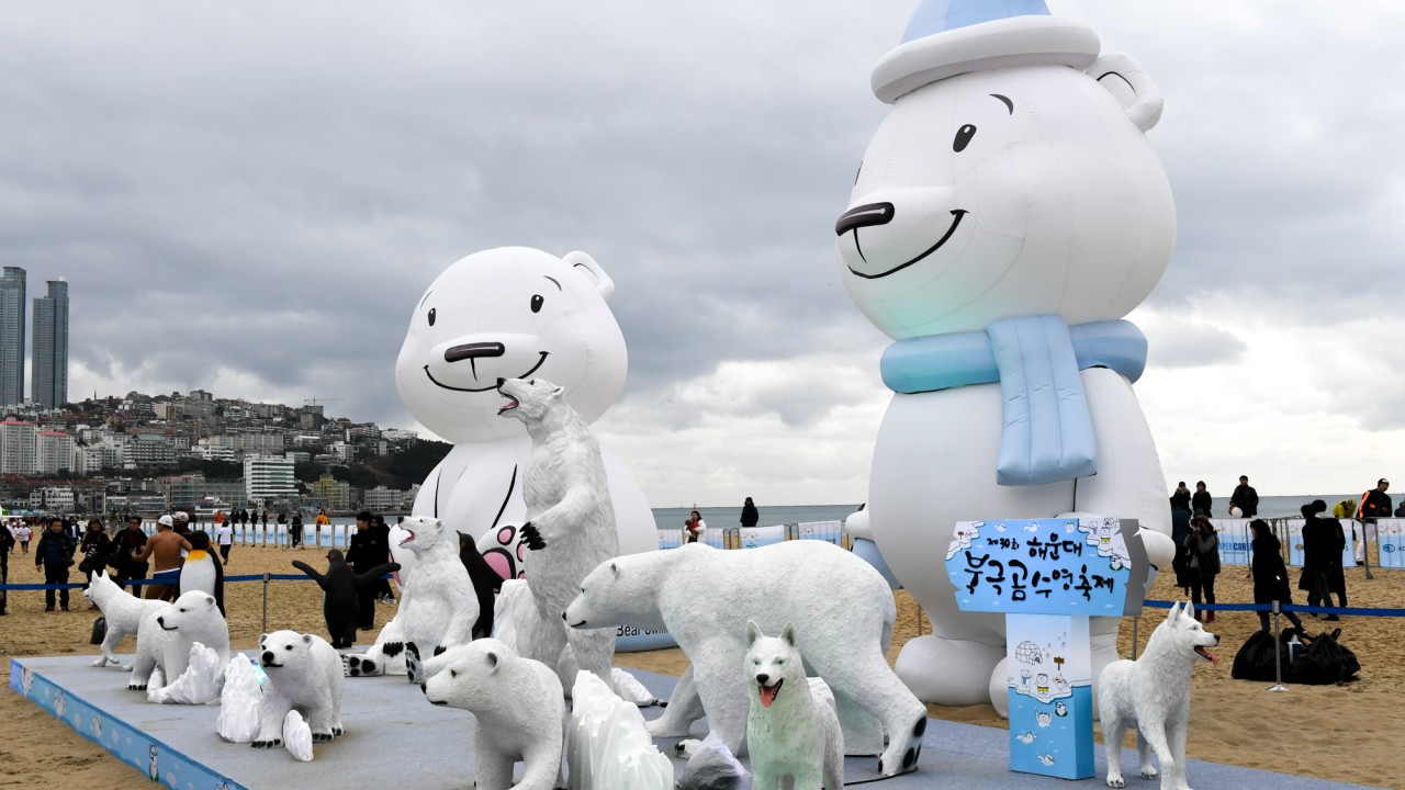 170108-제30회 북극곰수영대회