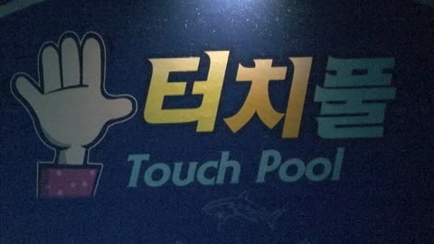 2011년 아쿠아리움 스케치 2(2011.07)