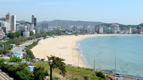 송정역 및 해수욕장 전경