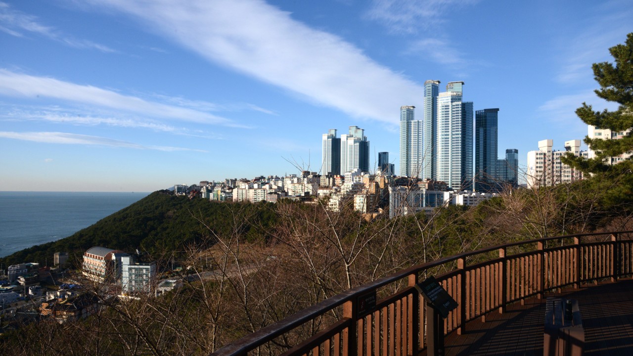 대마도가 보이는 달맞이 언덕