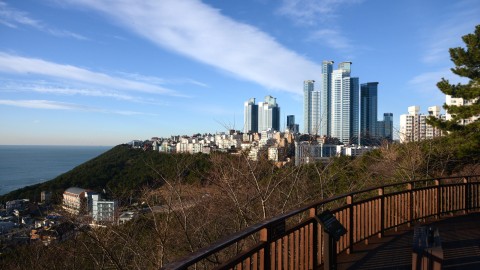 대마도가 보이는 달맞이 언덕