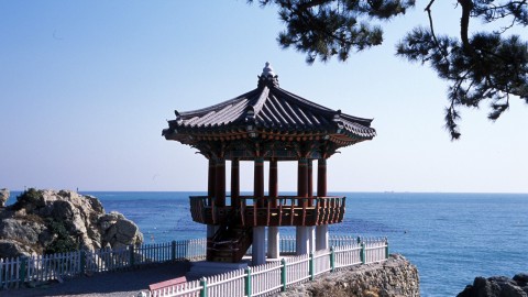 송정 송일정