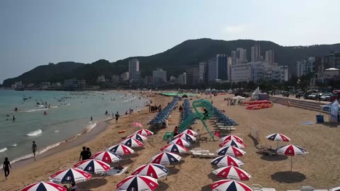 2024년 송정해수욕장 2(2024.08)