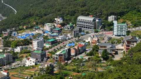 청사포해마루