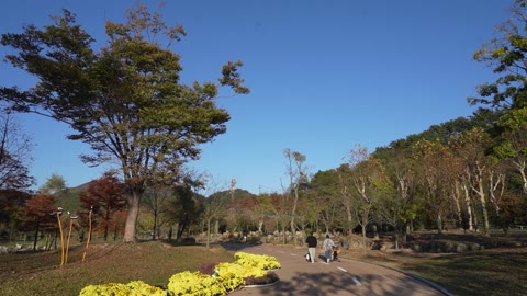 해운대 수목원(2024.11)