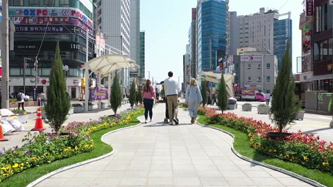 구남로 꽃길(2023.04)