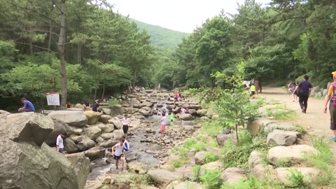 2018년 장산계곡 1(2018.07)