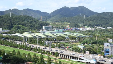 2025 - 반여농산물시장