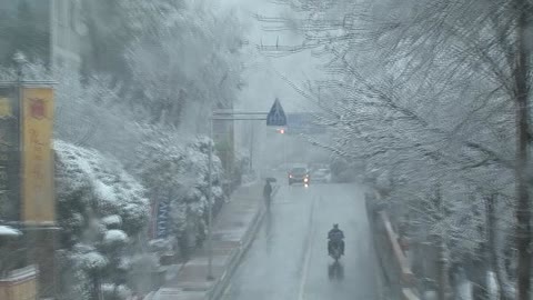 2011년 해운대 눈풍경 5(2011.02)