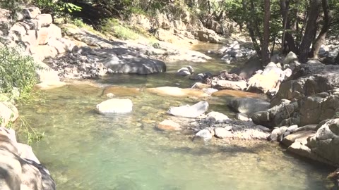 장산계곡(폭포사입구) 1(2015.08)
