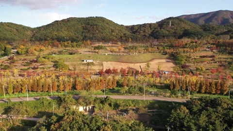 2024년 해운대 가을 모음집(2024.11)