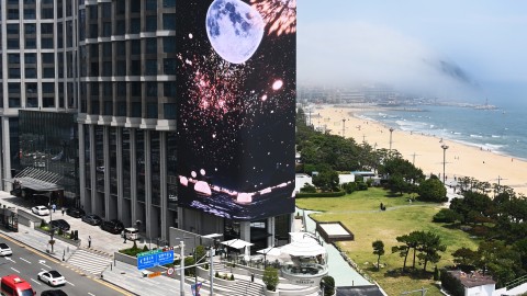 250618-옥외광고물 자유표시구역 첫 광고판