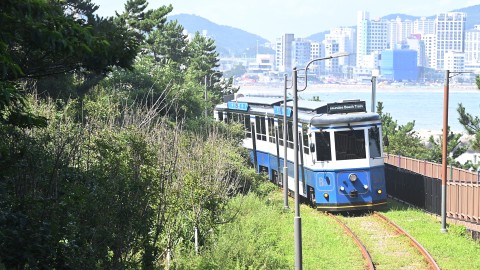 240726-블루라인파크(2)