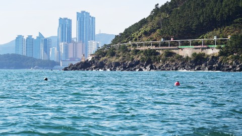 바다에서 바라 본 블루라인파크
